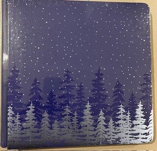 12x12 Fast2Fab Album - Flurry of Fun