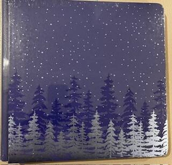 12x12 Fast2Fab Album - Flurry of Fun
