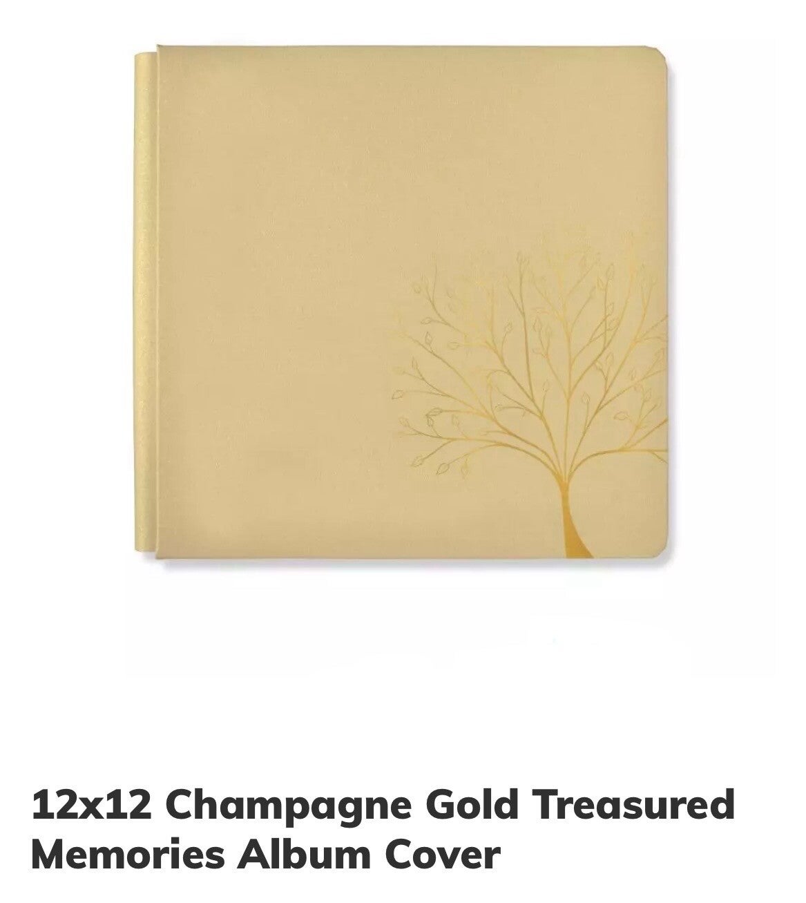 12x12 Treasured Moments Foiled Album - Champagne