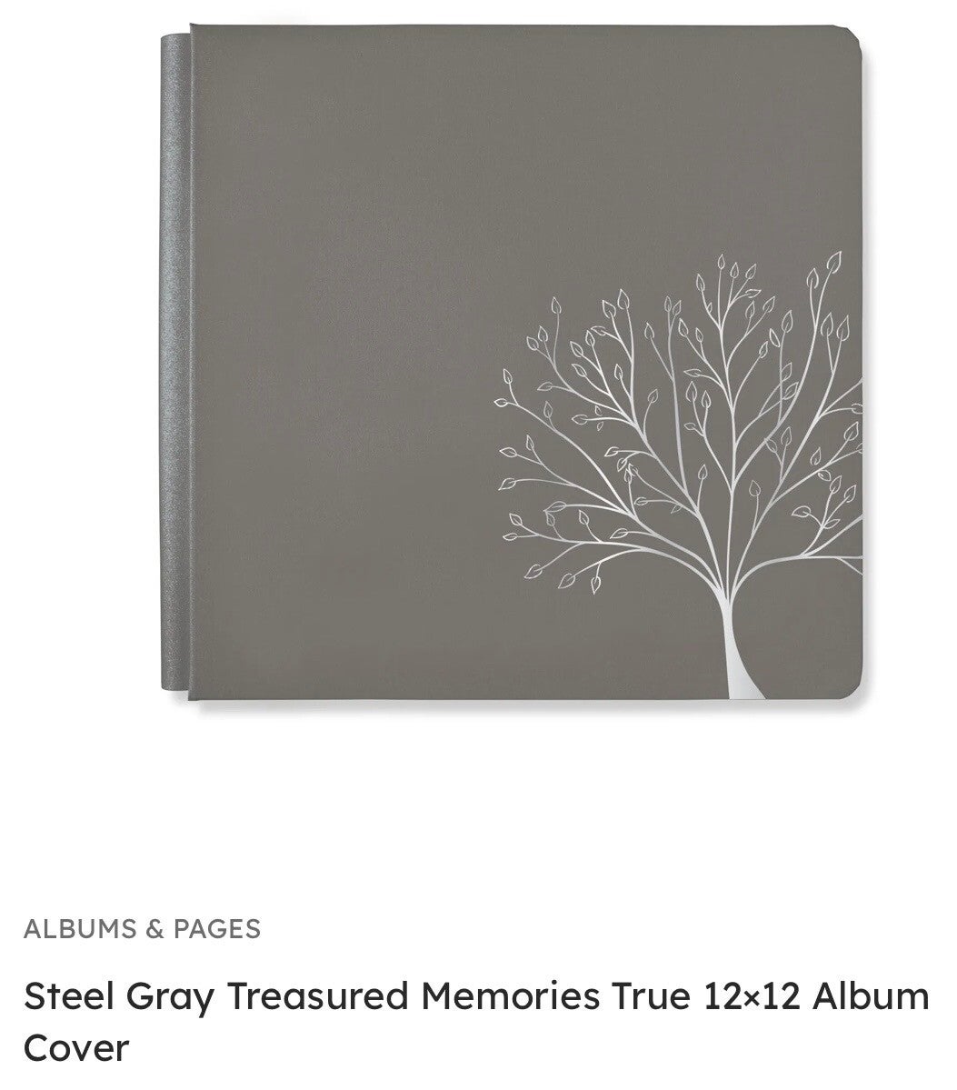 12x12 Treasured Moments Foiled Album - Steel Gray
