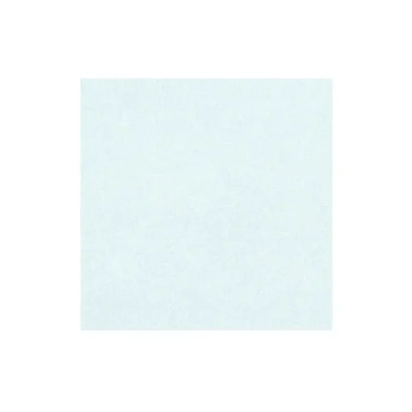 Aquamarine Shimmer (10/pk)