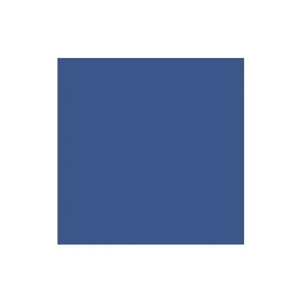 Blue Cardstock (10/pk)