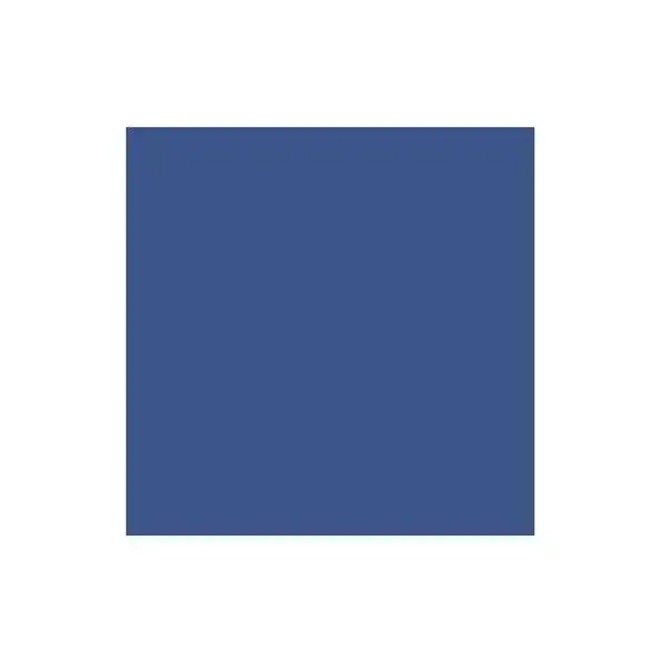 Blue Cardstock (10/pk)
