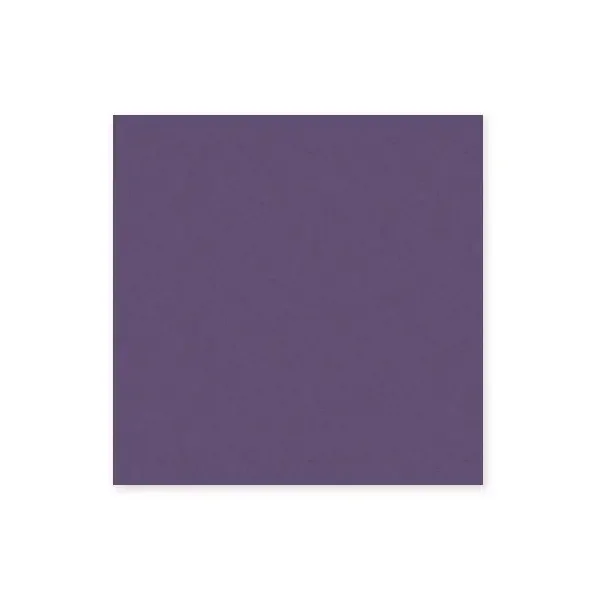 Eggplant Cardstock (10/pk)