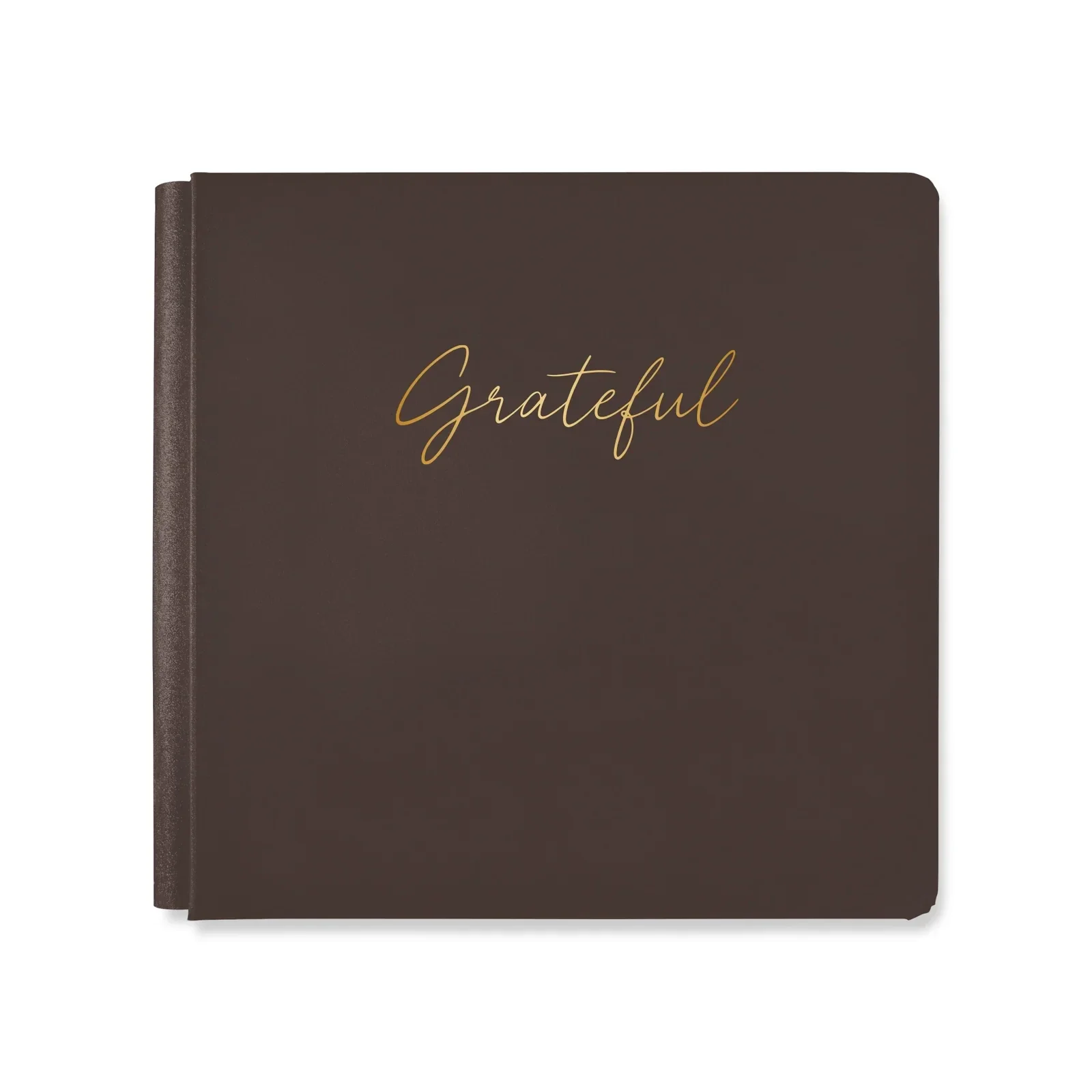 12x12 2026 NSD Foiled Album - Chocolate
