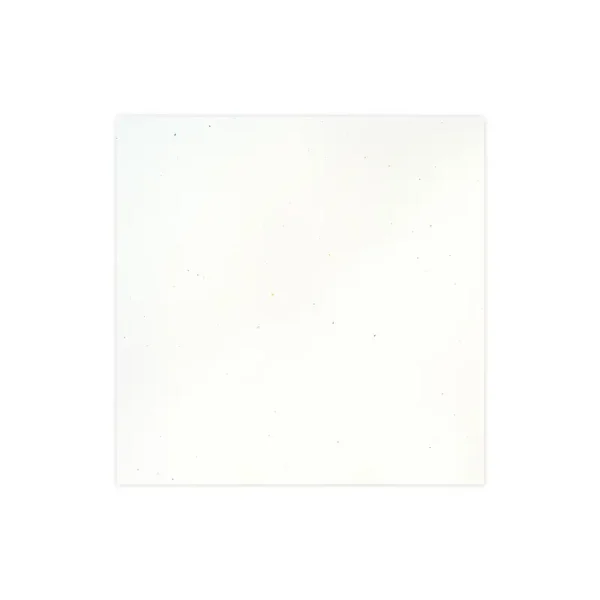 Stardust White Cardstock (10/pk)