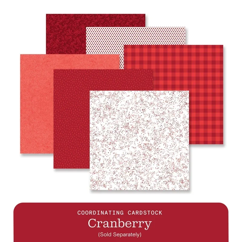 Vivid Melodies 2 Paper Pack (12/pk) - Cranberry