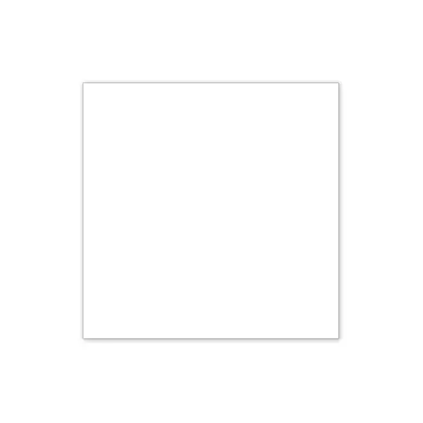 White Cardstock (10/pk)