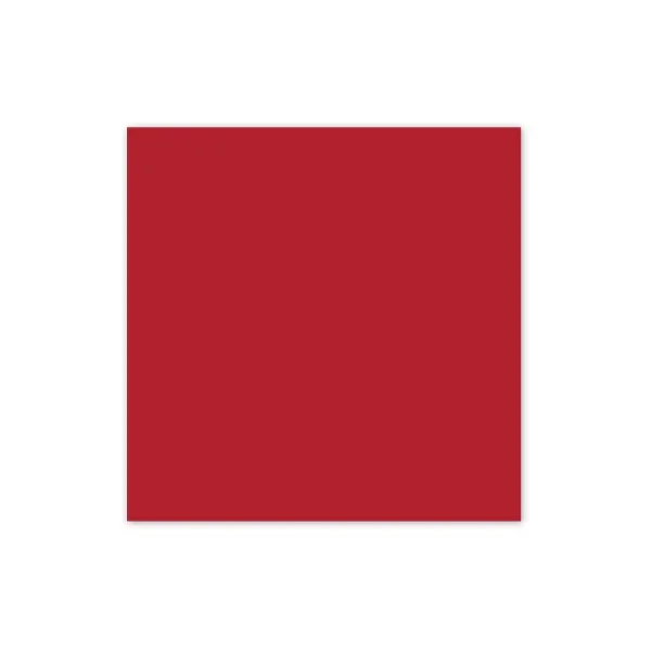 Cranberry Cardstock (10/pk)
