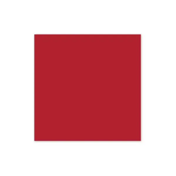 Cranberry Cardstock (10/pk)