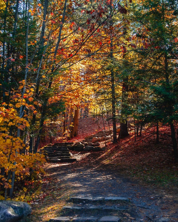Une marche à la fois...Un pas à la fois...