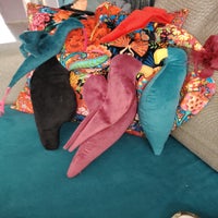 1000011825-standard.jpg