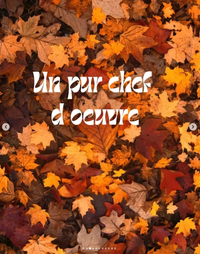 « Un pur chef-d'œuvre » : avis enthousiaste d'Alice Wendling sur Les Chroniques de Beaurivage – L’Héritage, thriller français de Jean-Philippe Servy, publié en 2026.