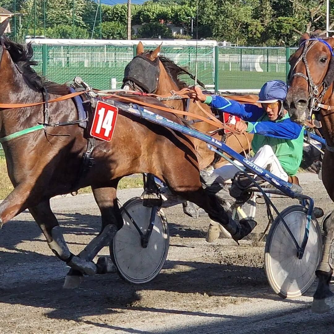 Jean-Philippe Servy, lauréat du Prix Littéraire des Trois Couronnes 2026, invité à l'Hippodrome des Fleurs de Biarritz pour le Prix Château Miller La Cerda / La Lettre Baskulture.