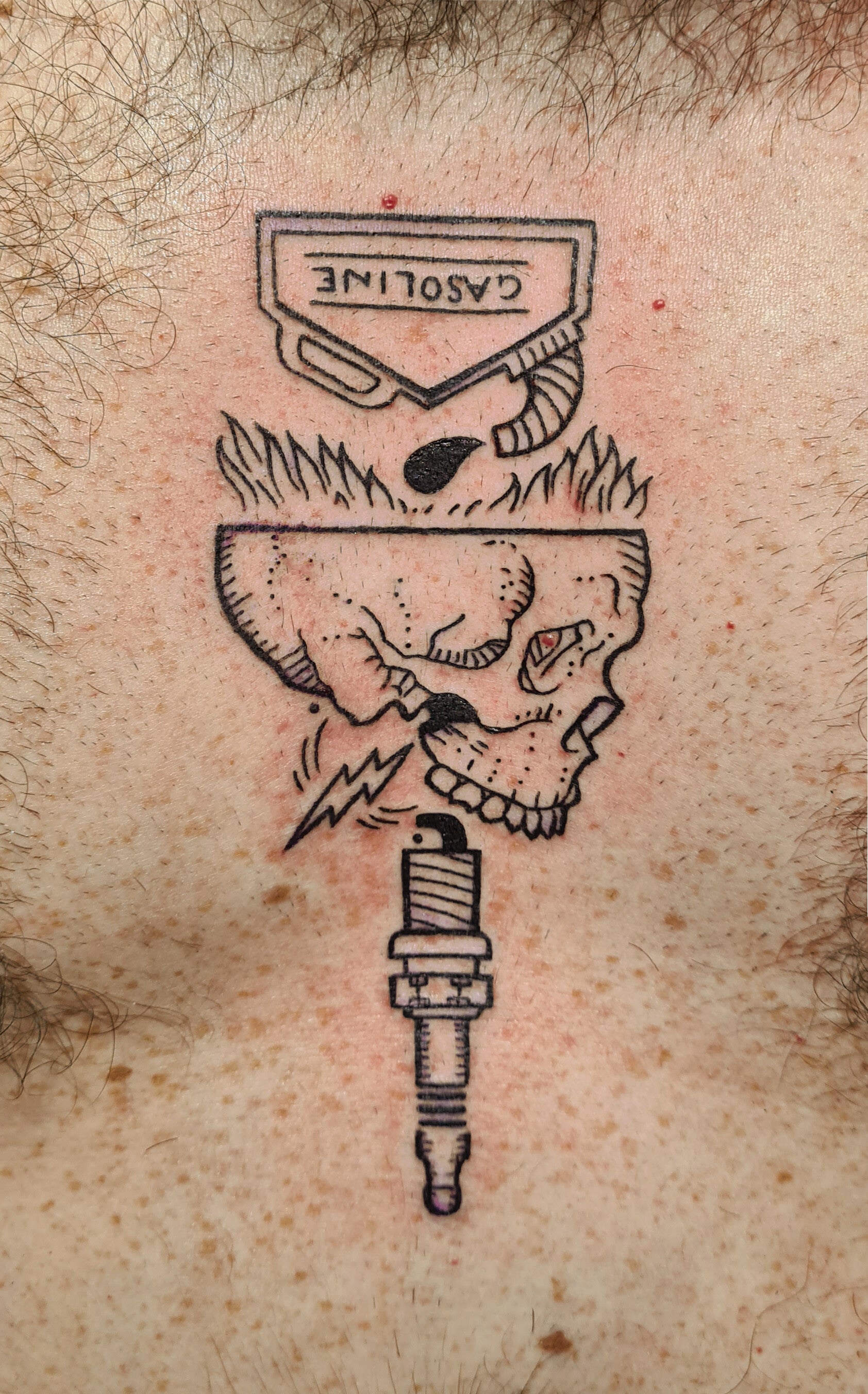 163-standard.jpg