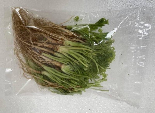 Coriander Root 100gms