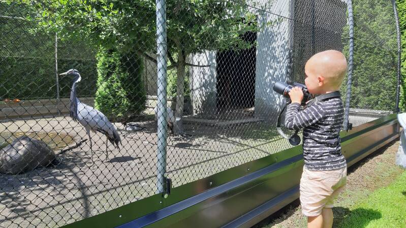 Vogelpark Ruinen