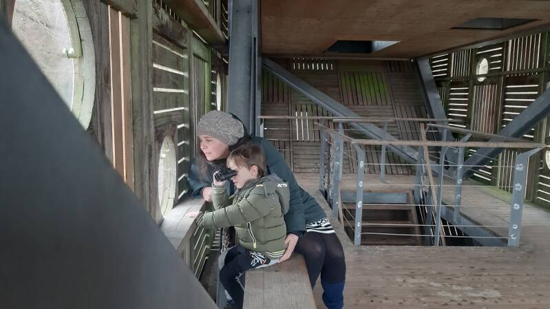 Vogelkijkhut '7' in Fochteloerveen