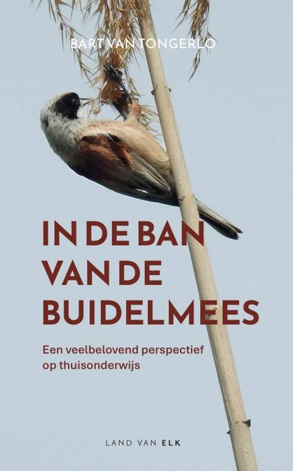 In de ban van de buidelmees