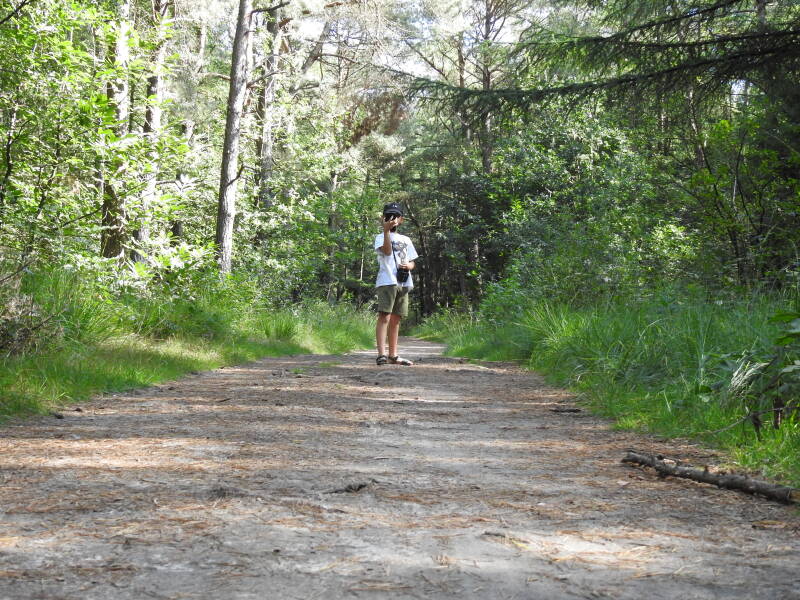Fochtelooerveen
