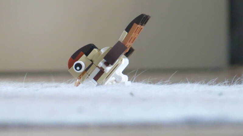 Huismus van LEGO