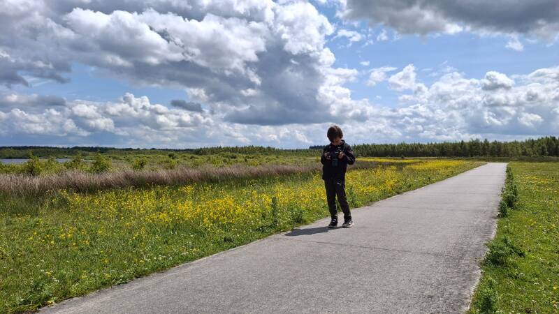 Fochteloerveen - Blauwborst spotten