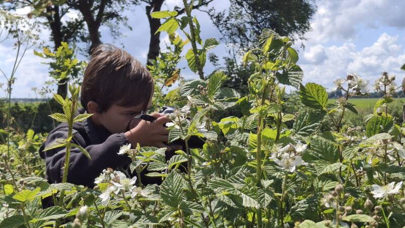 Fochteloo - Boomkikker fotograferen