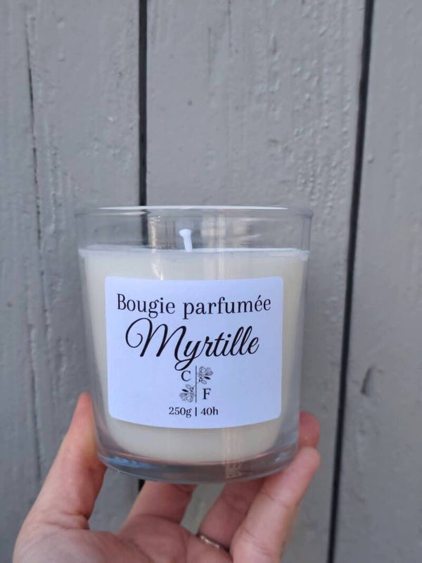 Bougie myrtille 260g