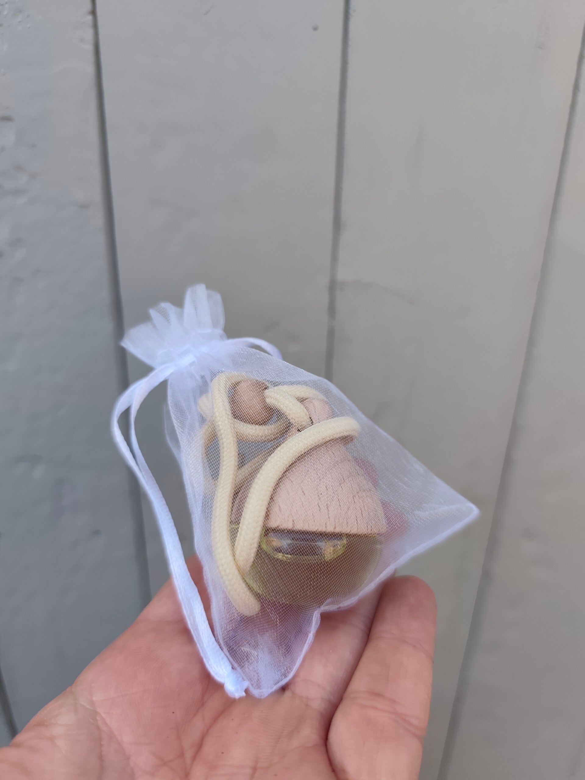 Diffuseur voiture Rituel