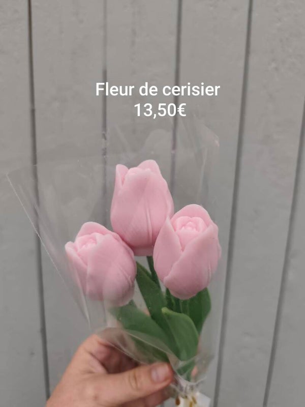 Tulipes par 3