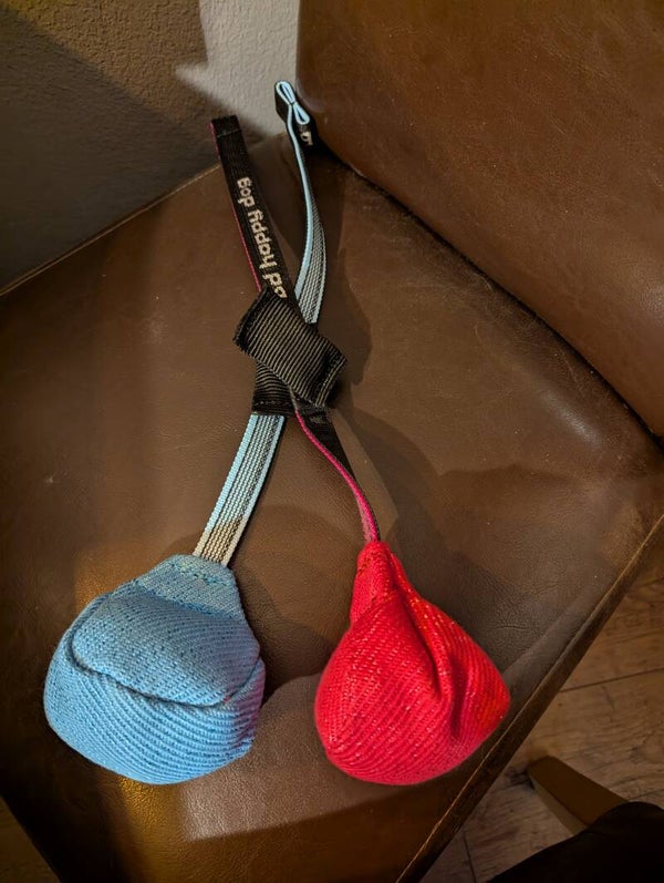 Ball am Seil mit Magnet