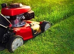 Yard Mowing Service (ESTIMATE)