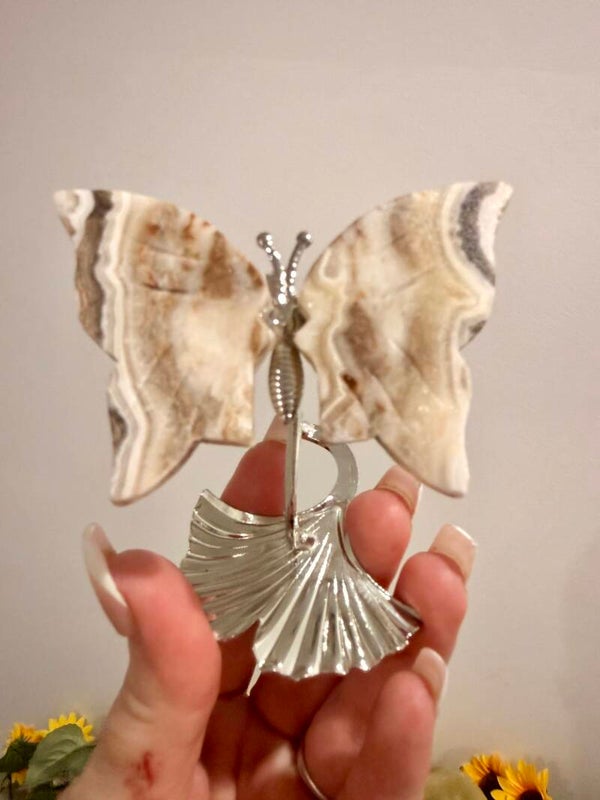 Mexican agate butterfly on stand