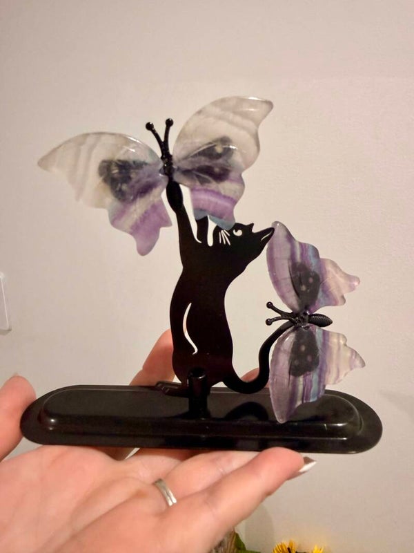 Cute cat playing with fluorite butterflies