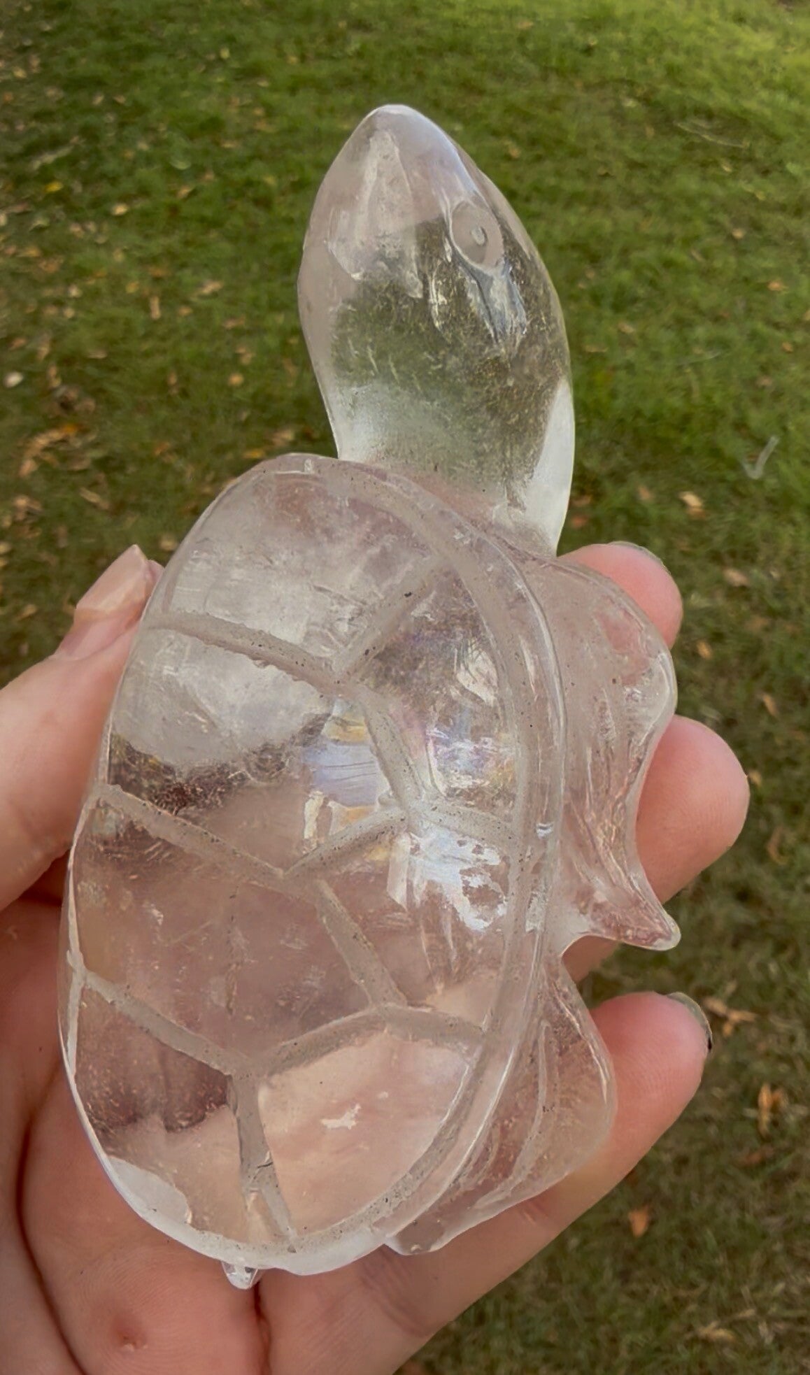 Clear quartz turtle