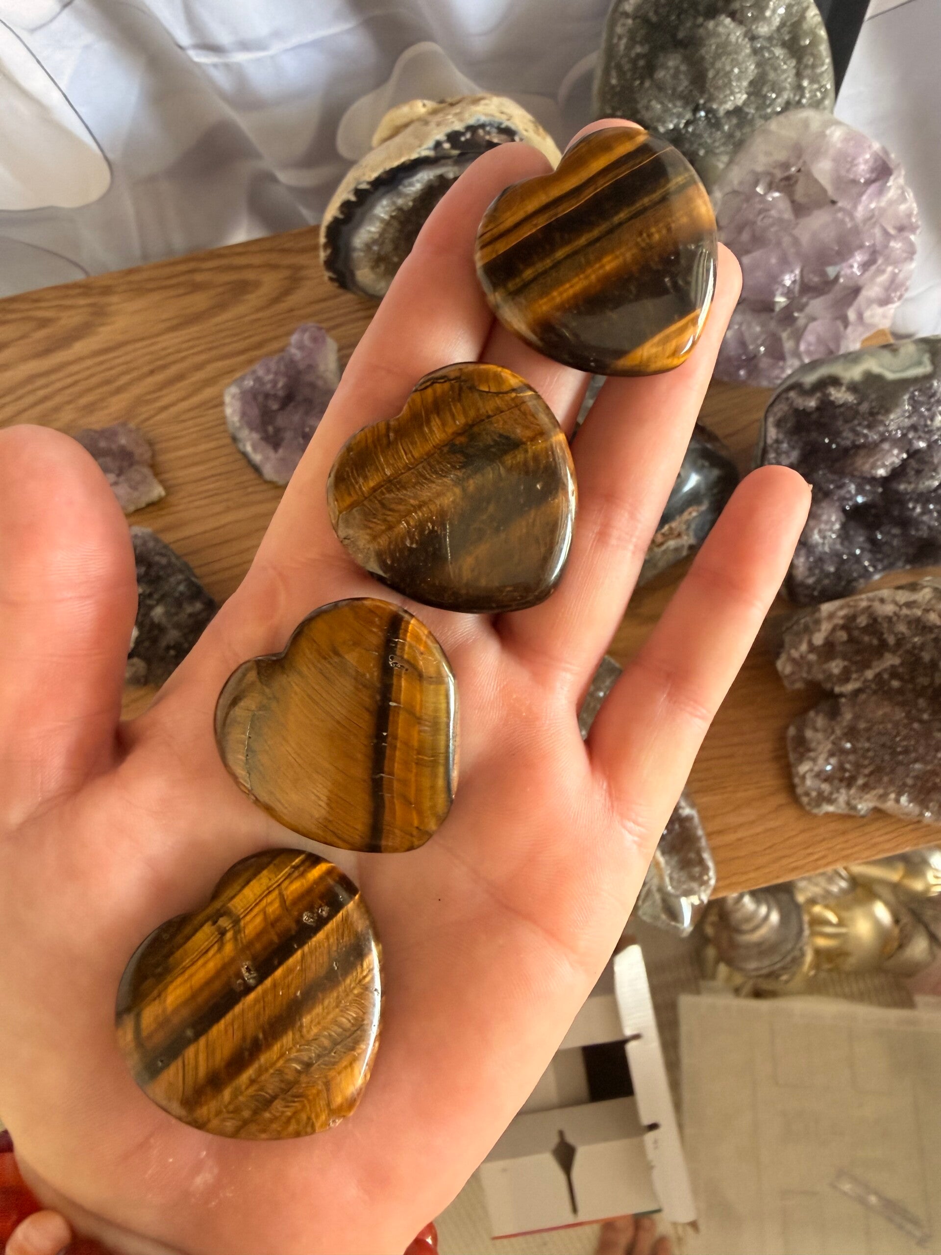 Tigers eye flat palm hearts