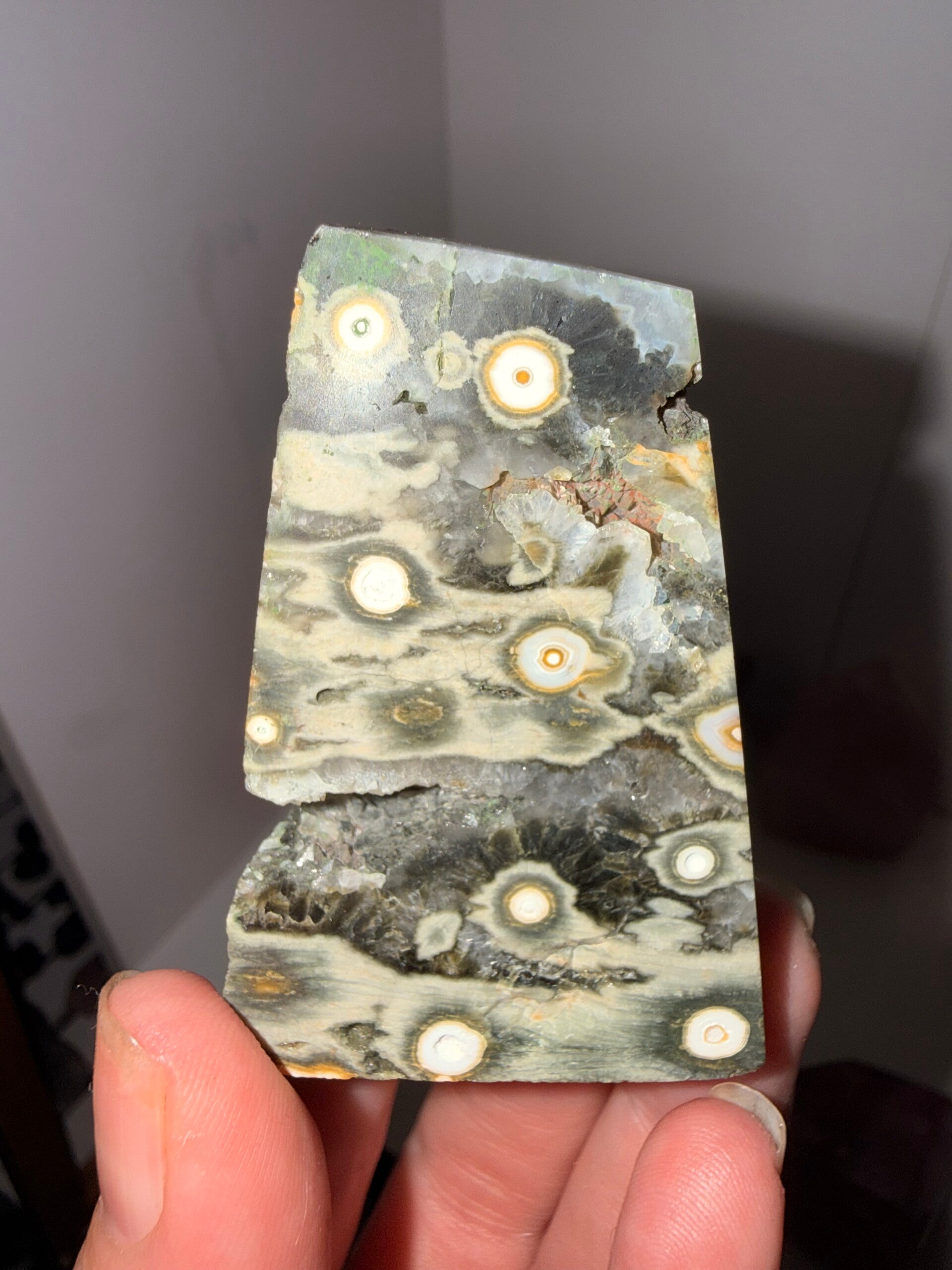 8th Vein Ocean Jasper freeform