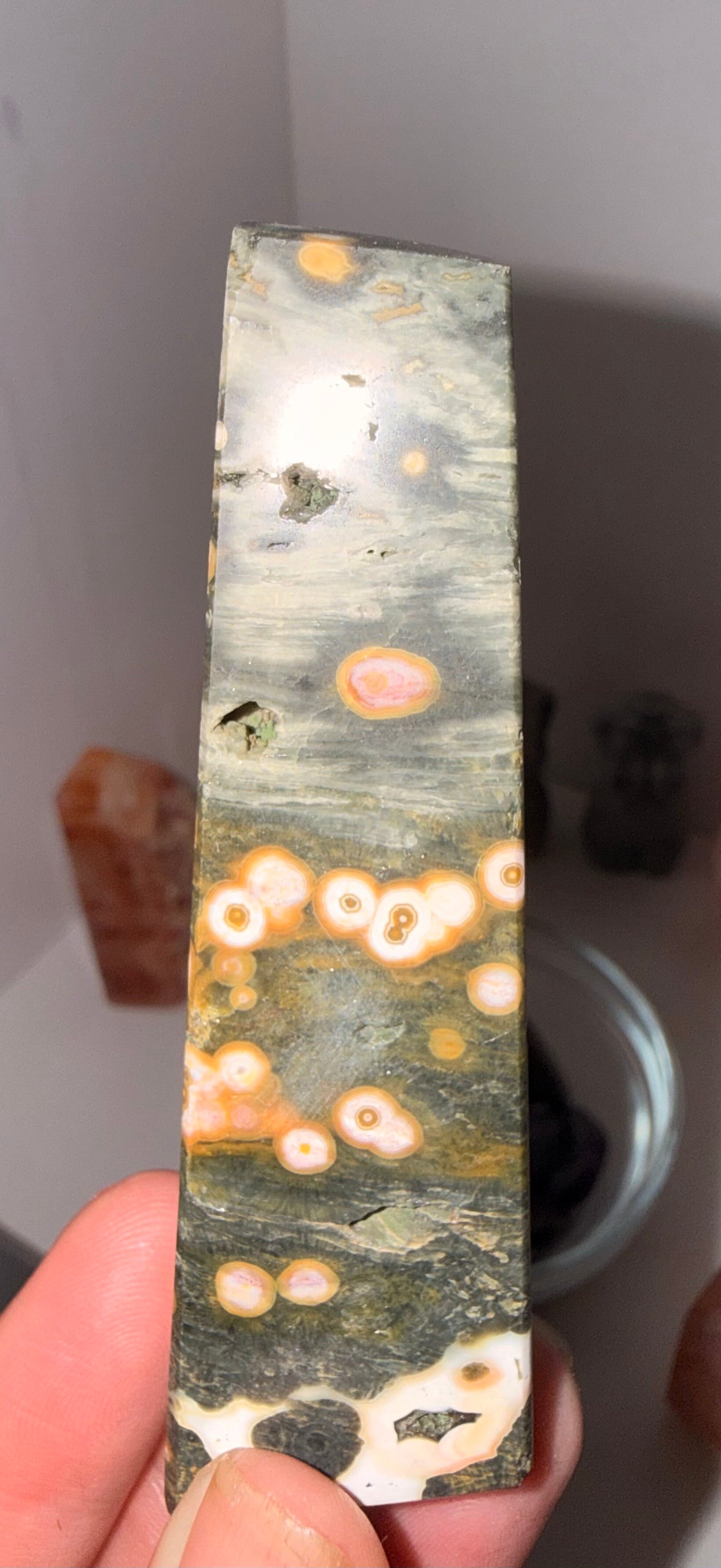 8th Vein Ocean Jasper freeform