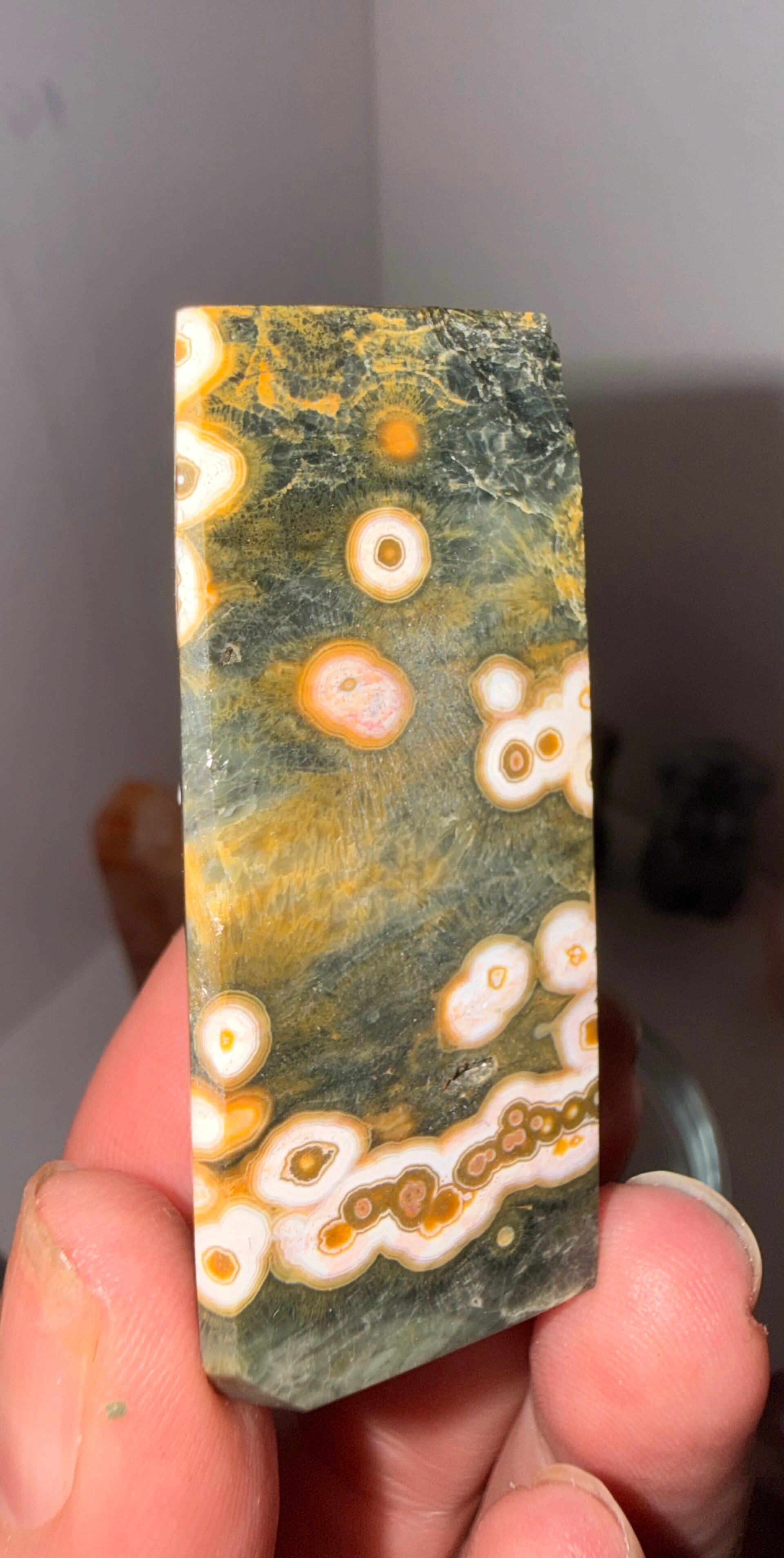 8th vein ocean Jasper freeform