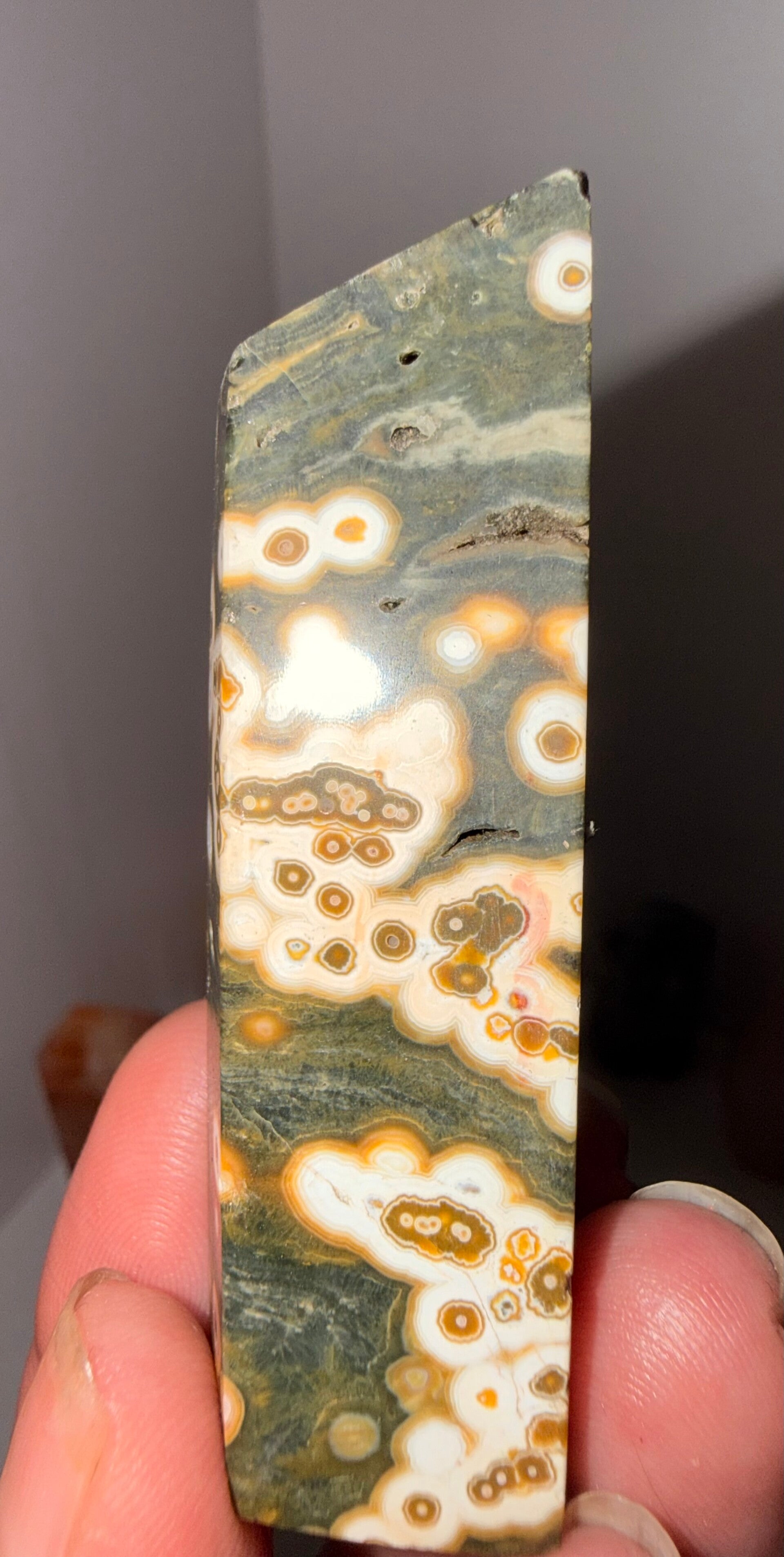 8th vein ocean Jasper freeform