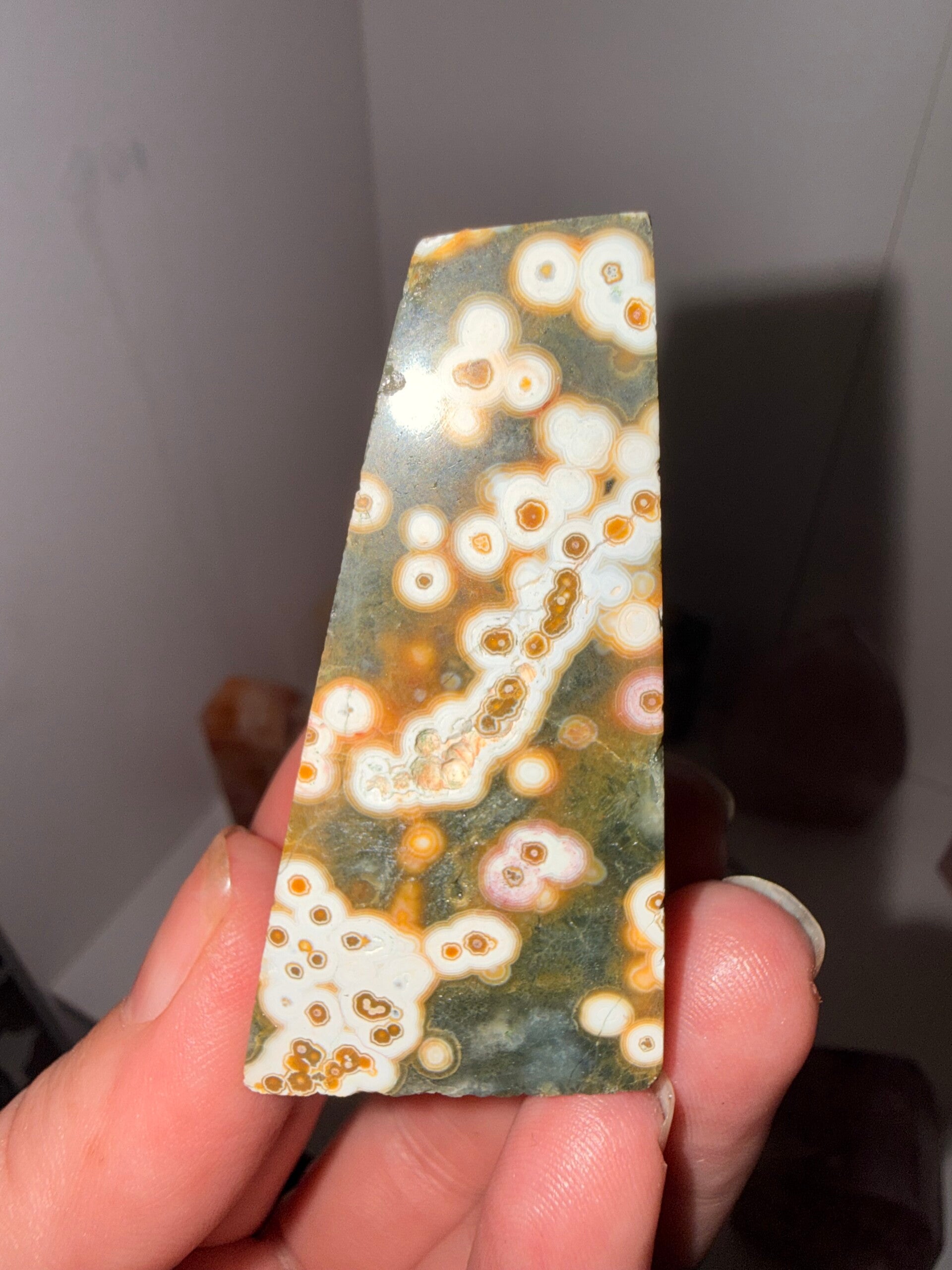 8th vein ocean Jasper freeform