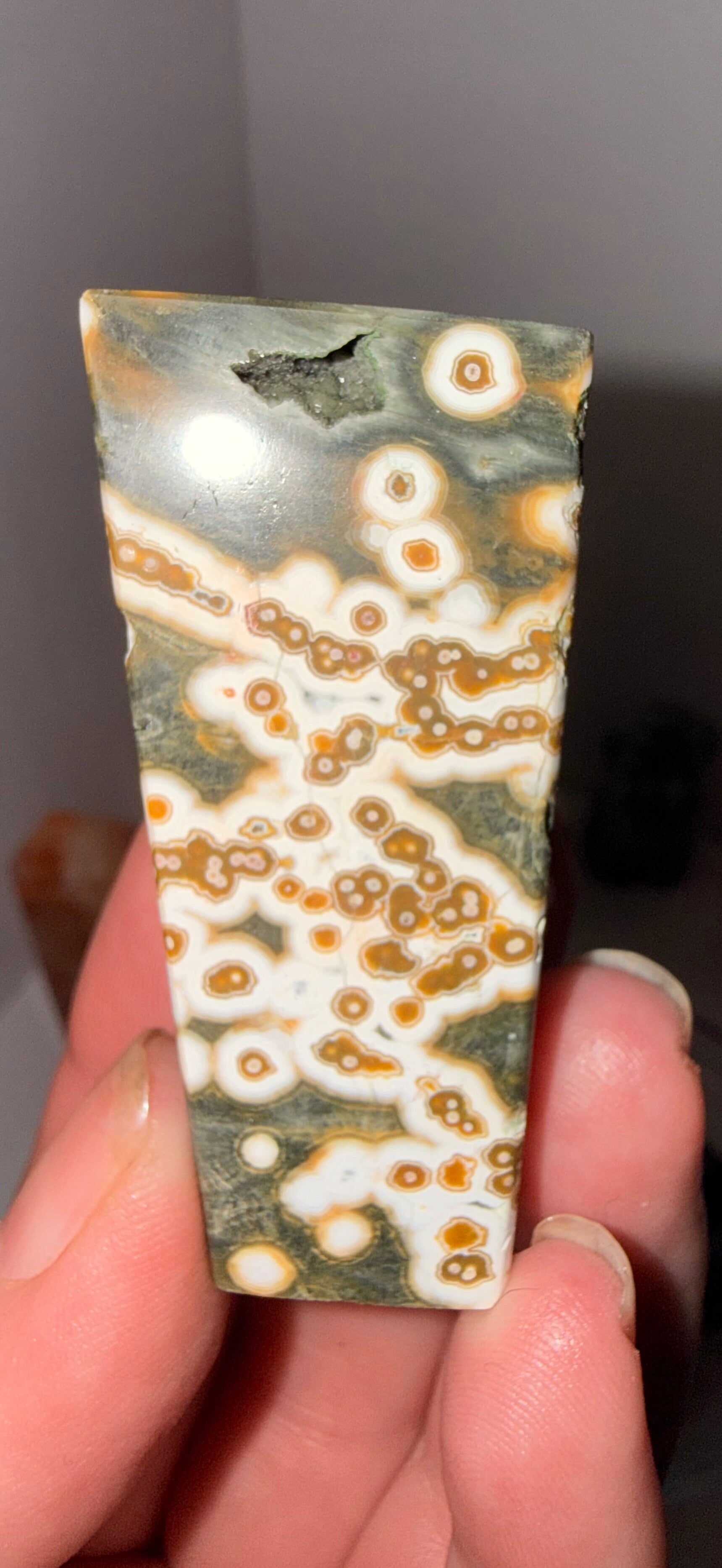 8th vein ocean Jasper freeform