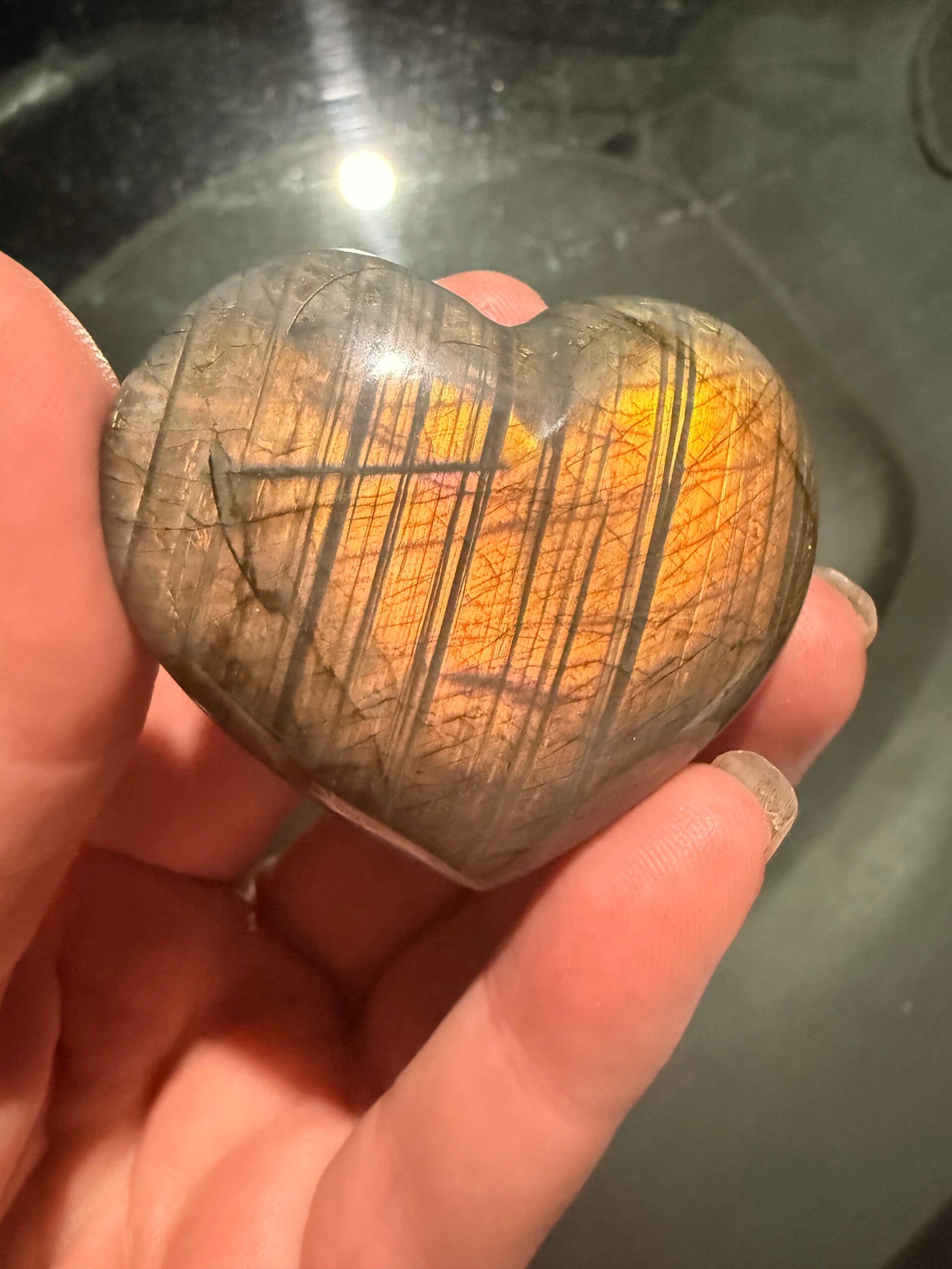 Flashy lab hearts front and back