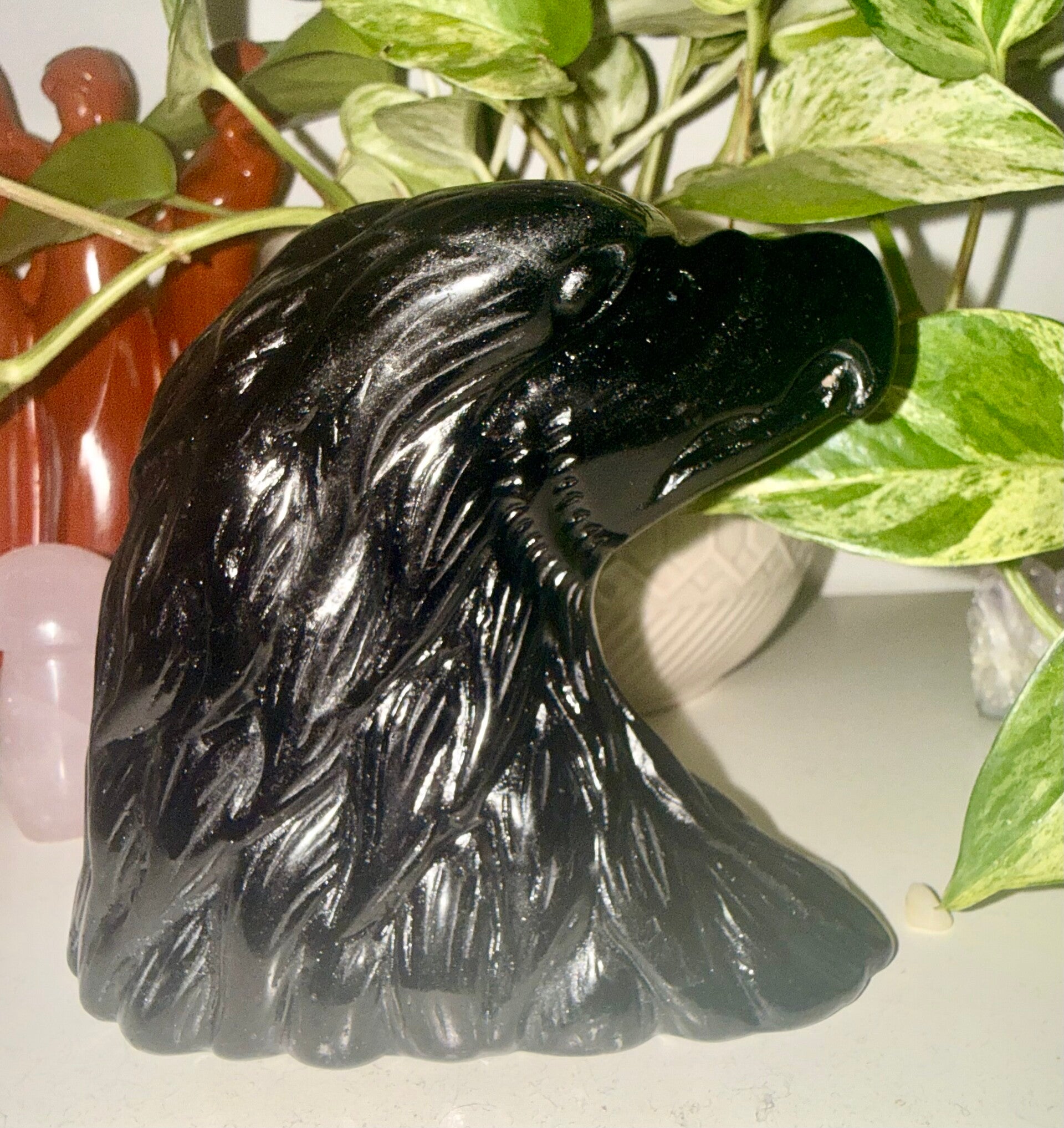 Black Obsidian Eagle Head xl