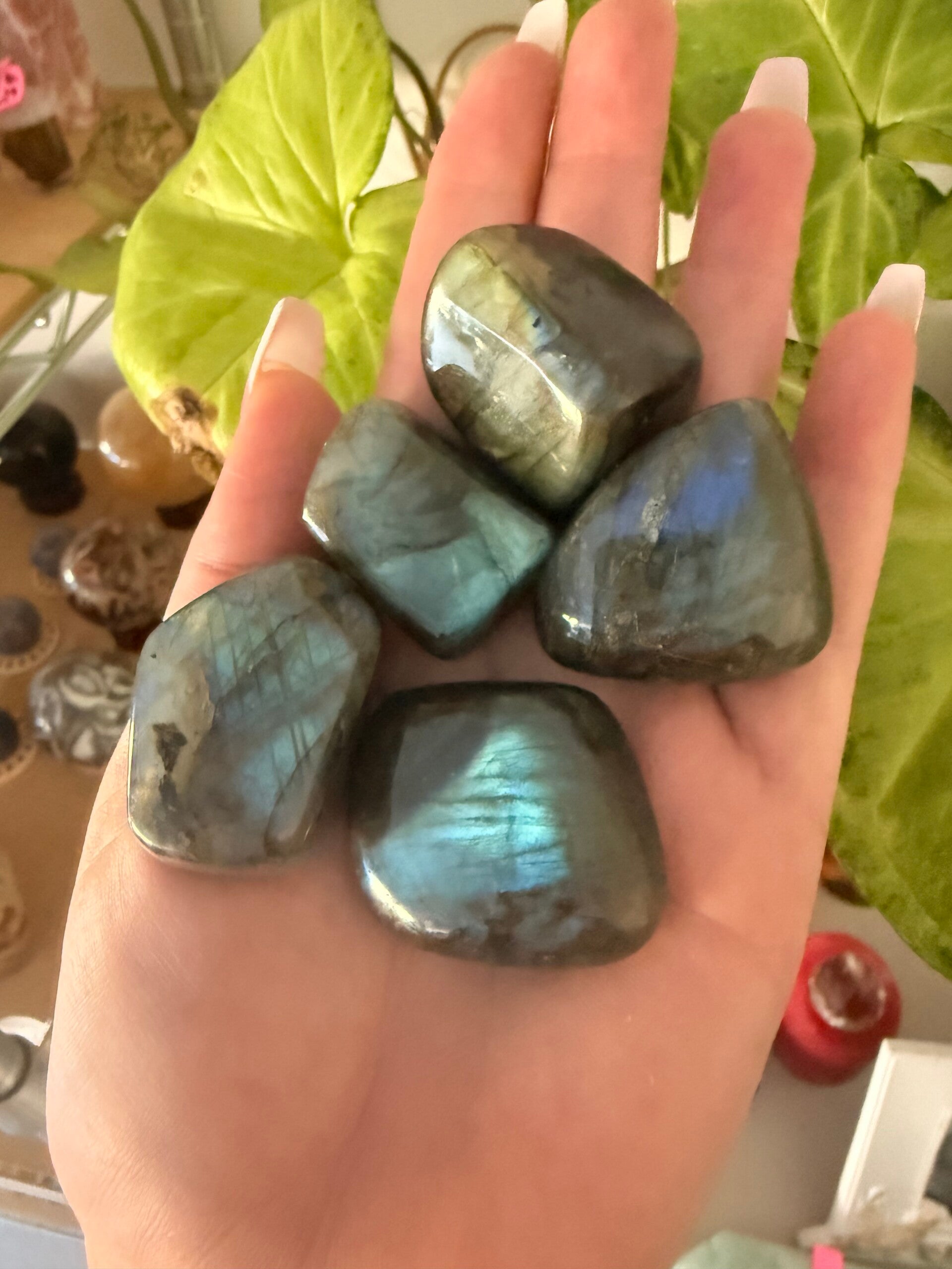 Polished big tumbles labradorite