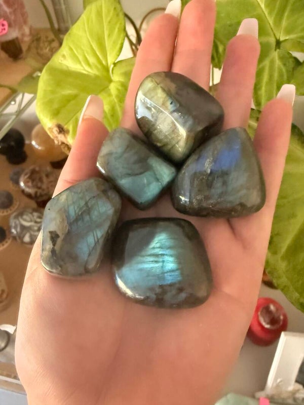 Polished big tumbles labradorite