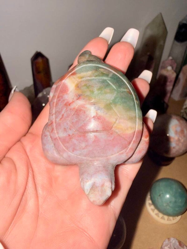 Ocean jasper turtle
