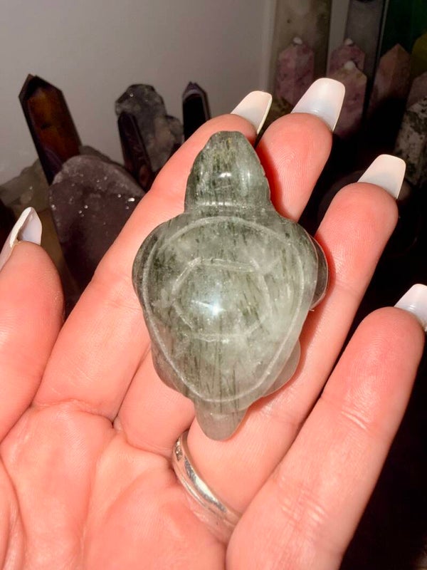 Black rutile turtle