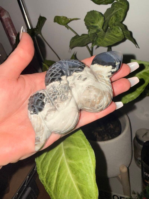 Volcanic agate snake