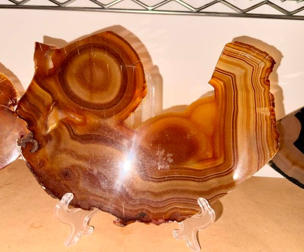 Fetus in womb ( Agate slab )